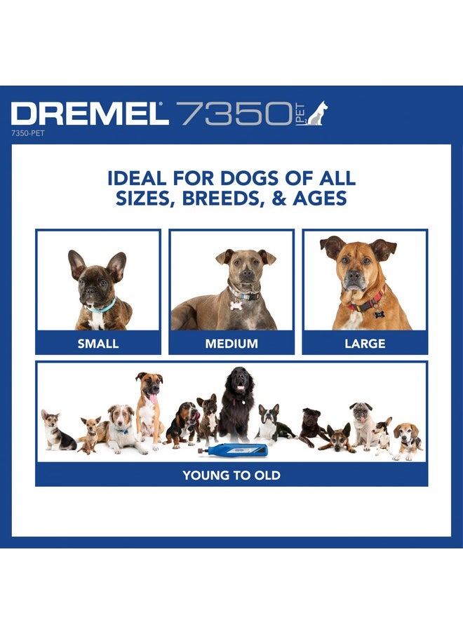درمل ماكينة قص أظافر الحيوانات الأليفة والكلاب 7350-PET 4V من Dremel، ماكينة قص أظافر آمنة وسهلة الاستخدام، مجموعة احترافية للعناية بالحيوانات الأليفة - تعمل على الكلاب والقطط الكبيرة والمتوسطة والصغيرة  - Image 3