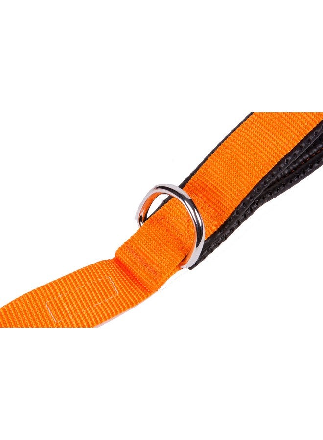 GOGO Pet Products 3/4-Inch Wide Comfy Nylon Dog Leash, 6-Feet Long, Orange - Image 4