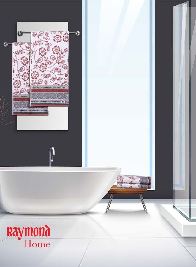 Raymond طقم هدايا مناشف Raymond Home 550 جرام لكل متر مربع، 2 منشفة حمام و2 منشفة يد، قطن خالص فائق النعومة (75 × 150 سم (2) + 40 × 60 سم (2)) منشفة - Image 2