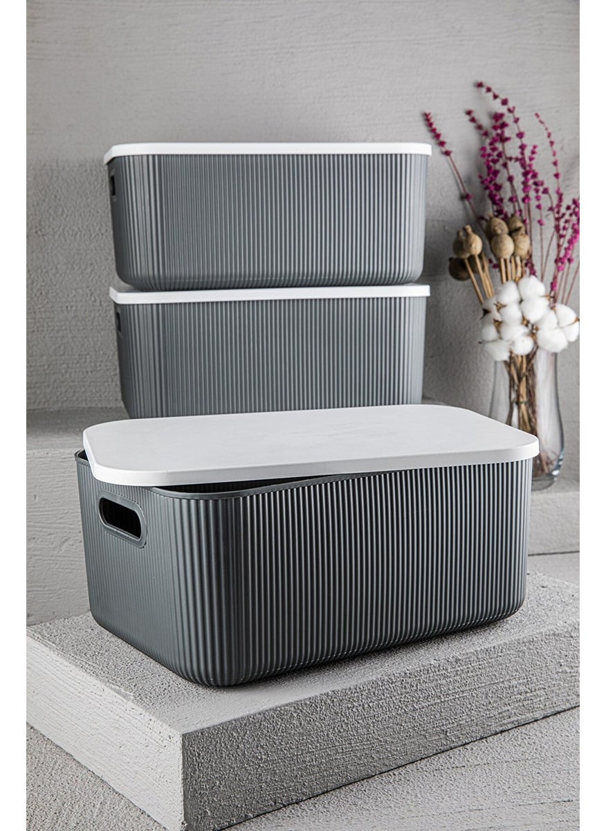 Bayev 3 Pieces Storage 13 Lt Gray, Multi-Purpose Organizer Box with Lid  - Image 1