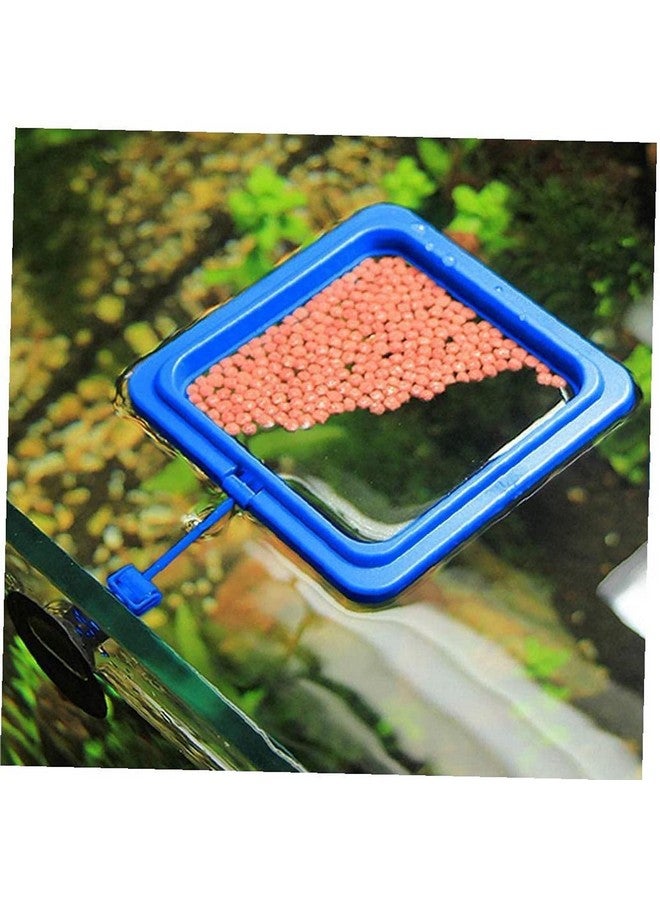 VAYINATO Plastic Fish Feeder for Aquarium Tank Floating Food Feeding Ring, Square - Aquarium Fish Tank Accessories Cichild, Beta, Goldfish, Spirulina and Koi Pond - with Suction Cup - Image 4