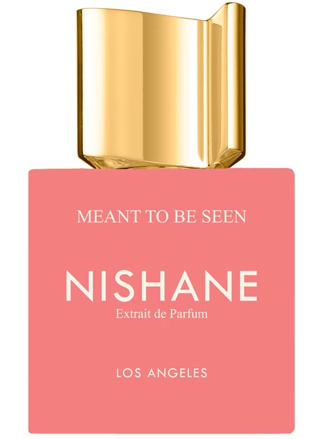 Nishane Meant to Be Seen Extrait de Parfum 100ml - Image 1