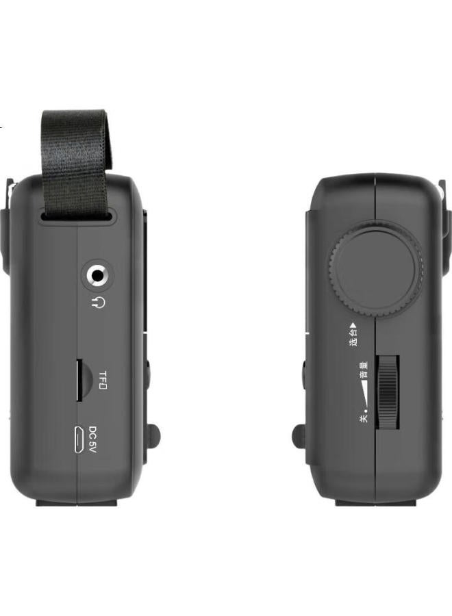 Panda T-04 Portable Digital Display Radio With Tf Card Slot, Lithium Battery, And Semiconductor For Elderly, Car Use, And Backup (Gray) - Image 1