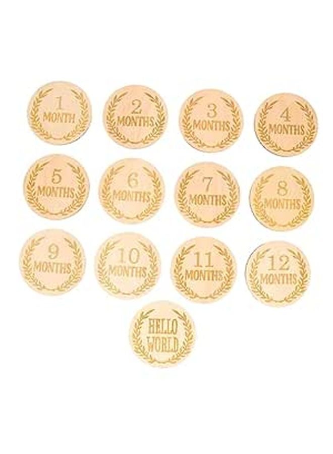 13Pcs Wheat Pattern Milestone Cards Durable Photo Props For Monthly Growth - Image 1