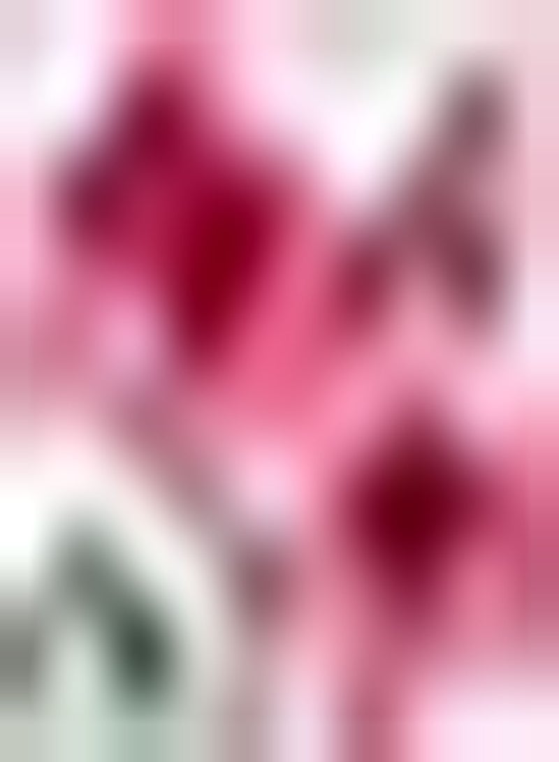 GGOOT 2pcs Pink Amaryllis Seeds Suitable for Planted Decoration Bedroom Living Room Corridor is Ideal Decoration Material Attract Bees Butterflies Simple Cultivation - Image 1