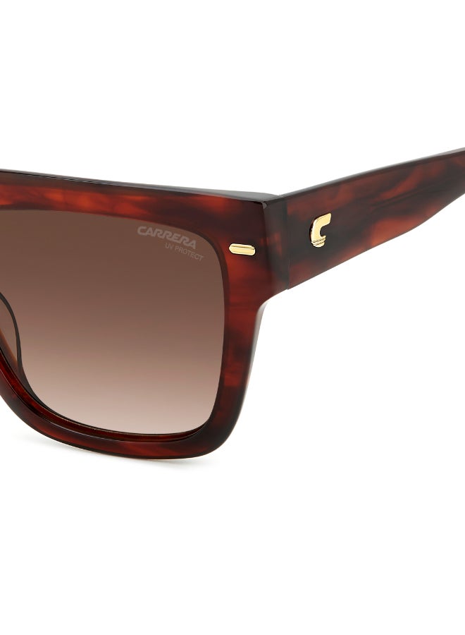 Carrera إطارات نظارات شمسية كاريرا بمقدمة مسطحة مربعة - Image 5