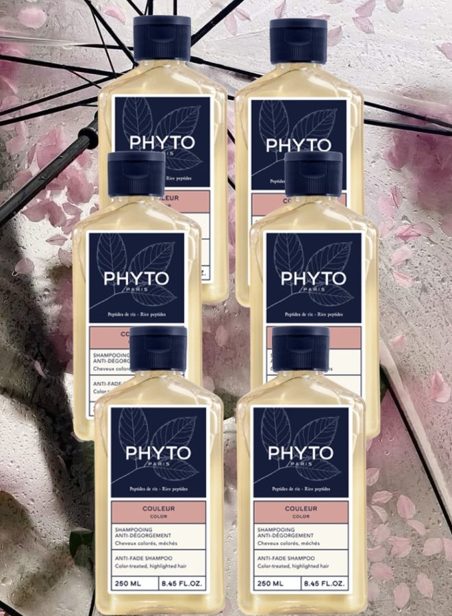 Phyto 6 Pieces Phyto Paris Anti Fade Shampoo 250ML - Image 1