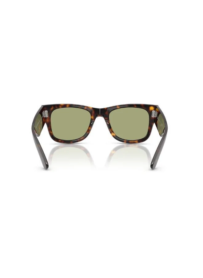 راي بان Ray-Ban Striped Havana Sunglasses 0Rb0840S-Square-