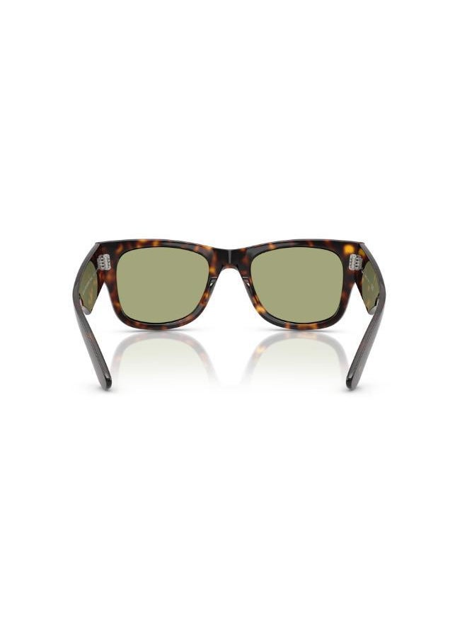 Ray-Ban Ray-Ban  Havana Sunglasses  - Image 2