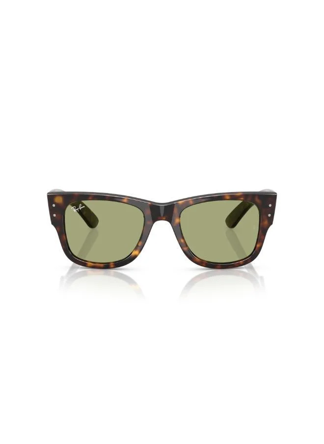 راي بان Ray-Ban Striped Havana Sunglasses 0Rb0840S-Square-
