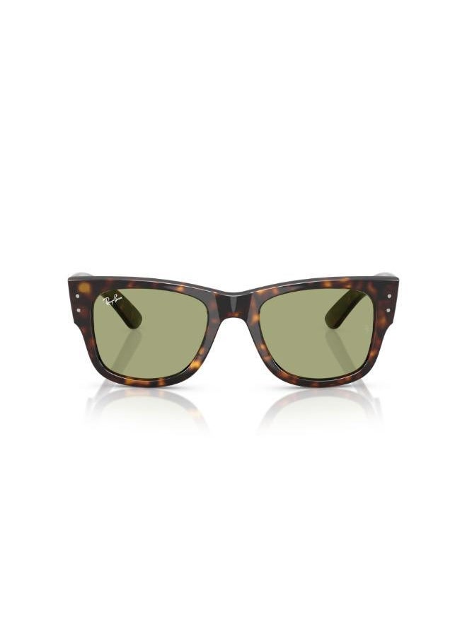Ray-Ban Ray-Ban  Havana Sunglasses  - Image 1