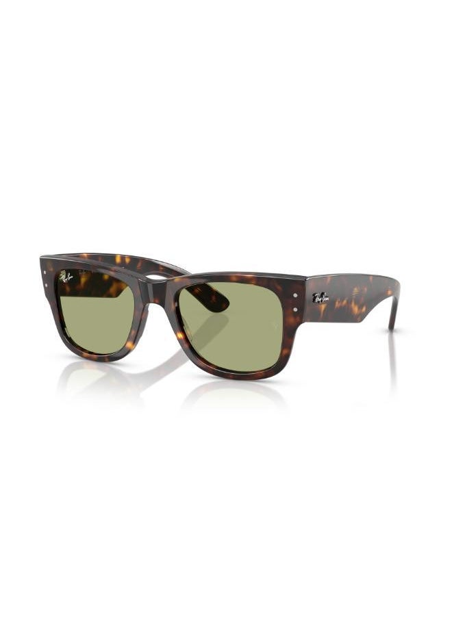 Ray-Ban Ray-Ban  Havana Sunglasses  - Image 4