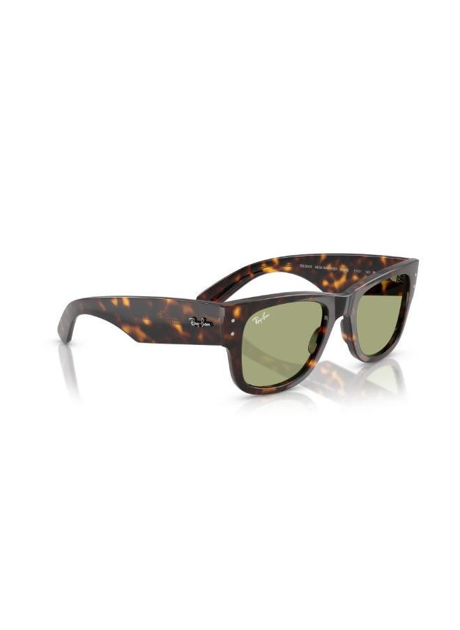 Ray-Ban Ray-Ban  Havana Sunglasses  - Image 3