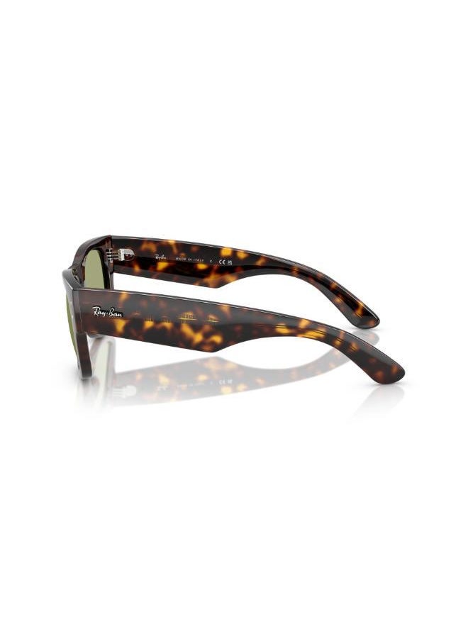 Ray-Ban Ray-Ban  Havana Sunglasses  - Image 5