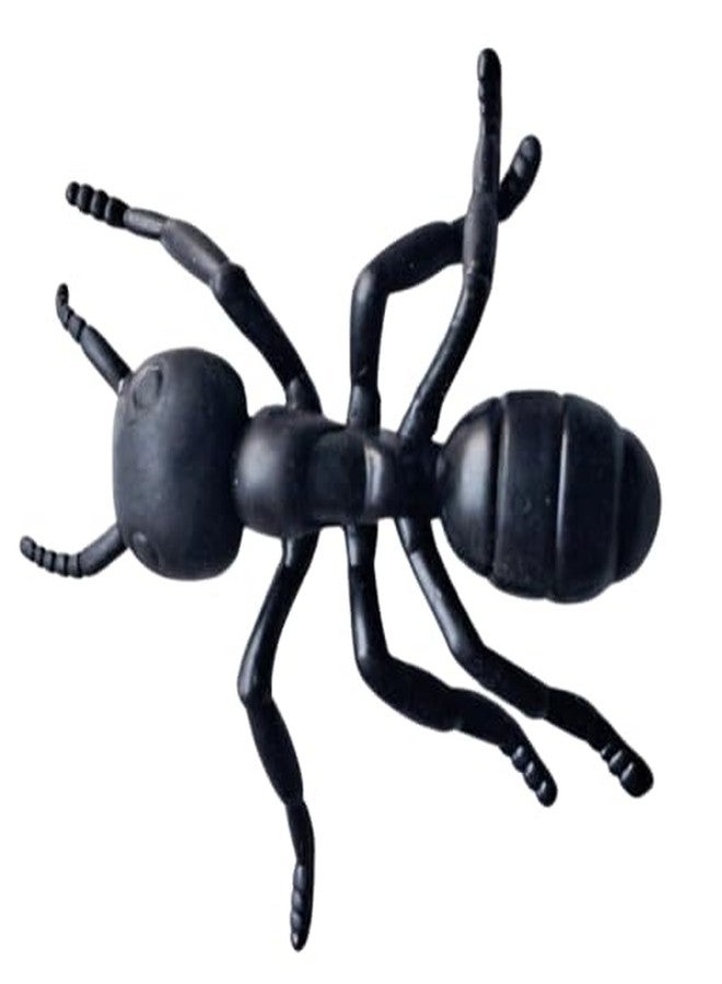 VEDY Creepy Crawly Insect Gag Toy Combo Pack - Image 4