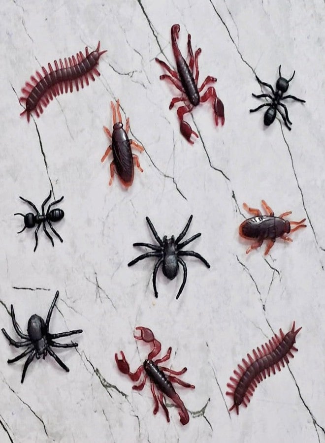 VEDY Creepy Crawly Insect Gag Toy Combo Pack - Image 1