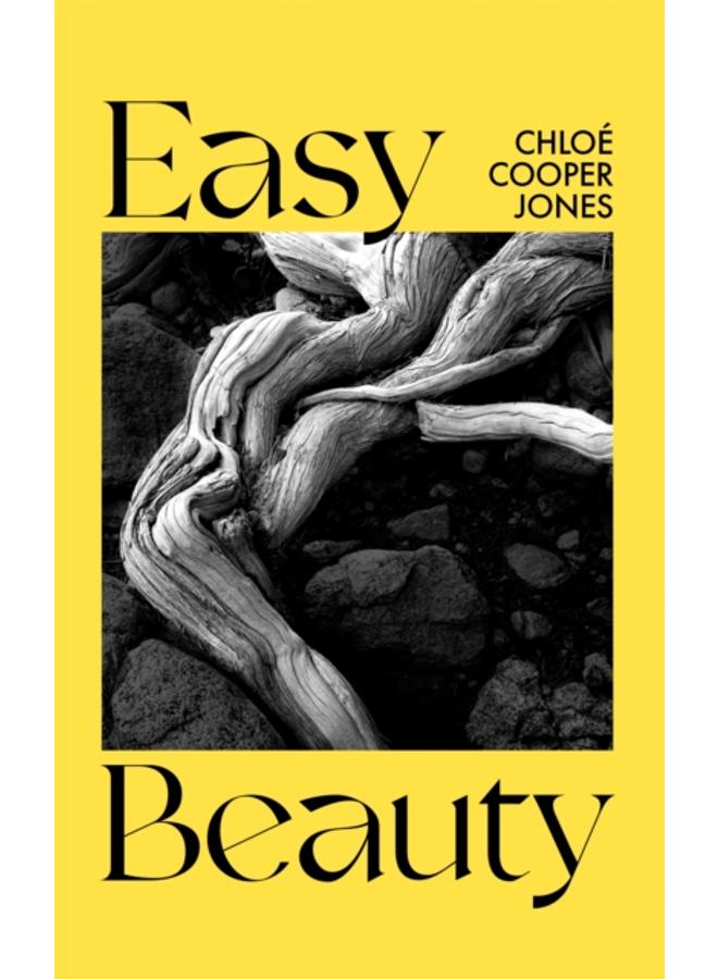 Easy Beauty : On Seeing and Being Seen 