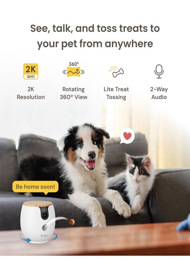 Furbo Mini 360° Pet Camera [No Monthly Fee] - Image 2
