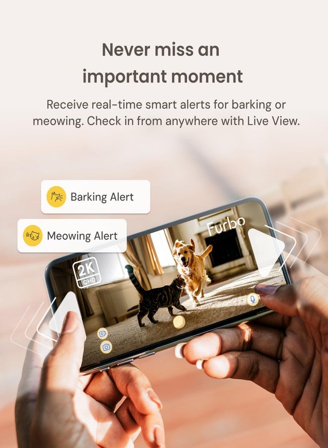 Furbo Mini 360° Pet Camera [No Monthly Fee] - Image 3