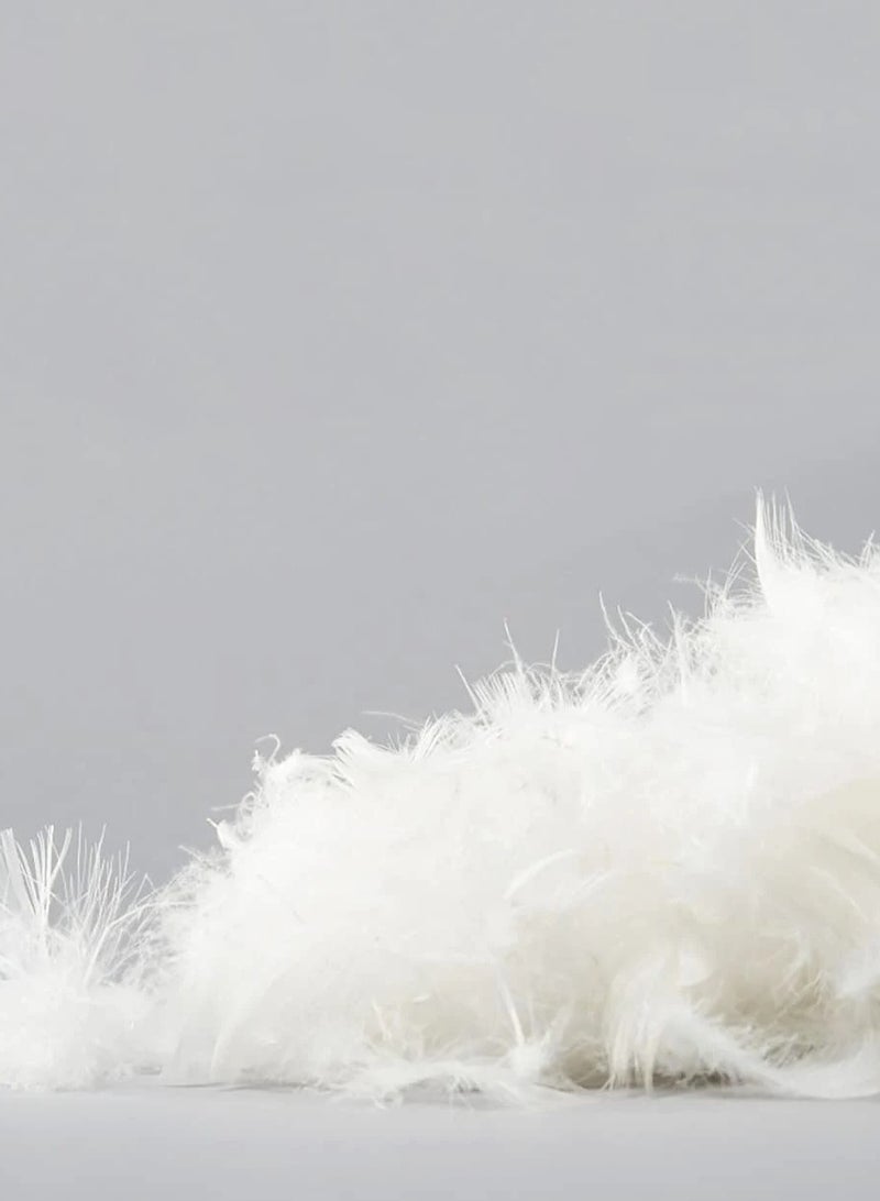 F.A.M.S Sofa Cushion Pillow White Pack of 2 Soft Brushed Microfiber Throw Pillow Insert Comfortable Plush Comfort and Perfect Support- Pillows for Sofa, Bed and Couch - Image 4