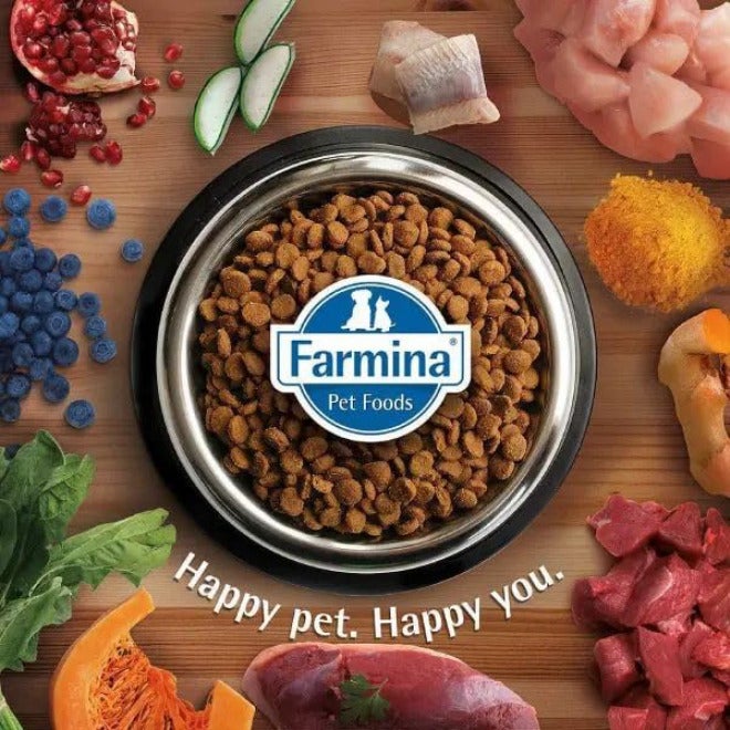 Farmina Matisse Cat Wet Food with Sardine for Adults- 85 g - Image 2