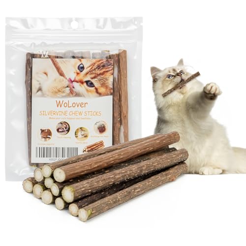 WoLover Silvervine Sticks for Cats Natural Catnip Matatabi Chew Sticks Teeth Molar Chew Toys for Cat Kitten Kitty at Least 12 PCS - Image 1