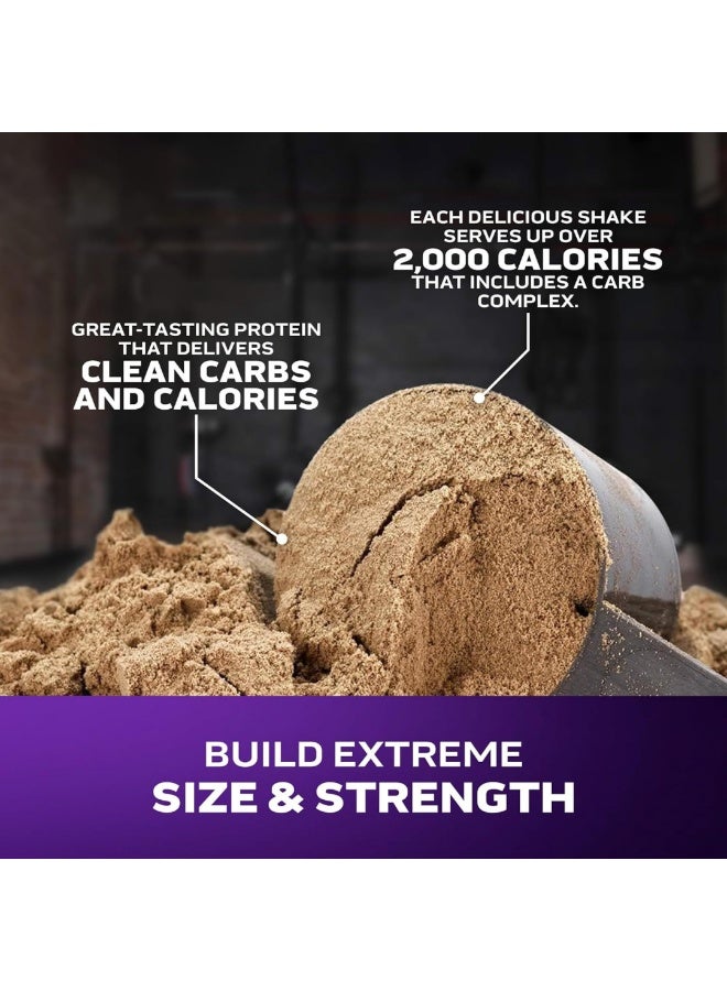 ماسل تيك ماس تك إكستريم 2000 6 رطل ميلك شيك فانيليا - Image 4