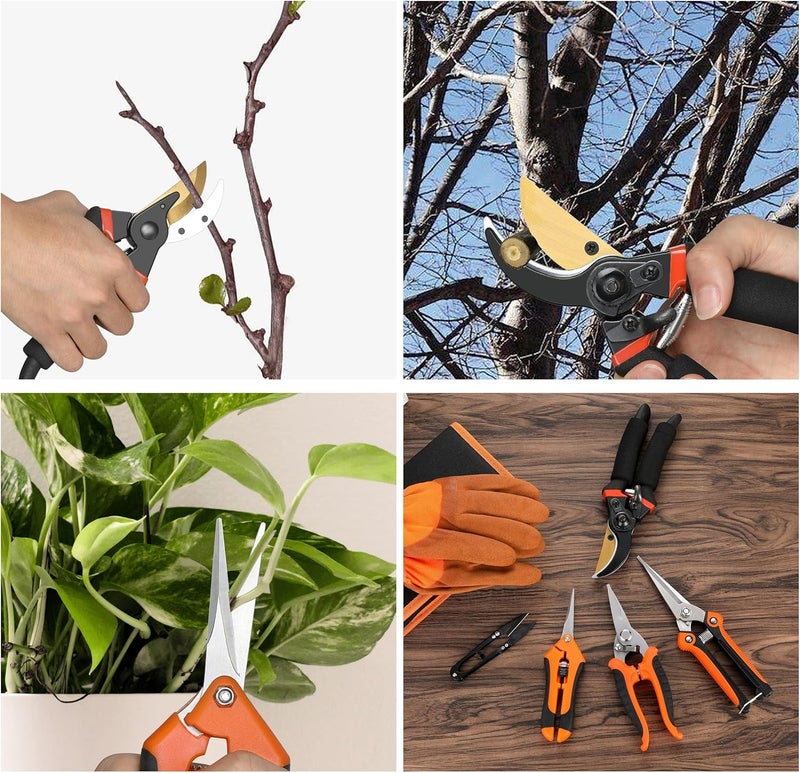 Topbooc 5 pack Garden Pruning Shears Stainless Steel Blades, Handheld Scissors Set with Gardening Gloves,Heavy Duty Garden Bypass Pruning Shears,Tree Trimmers Secateurs, Hand Pruner (Classic) - Image 5