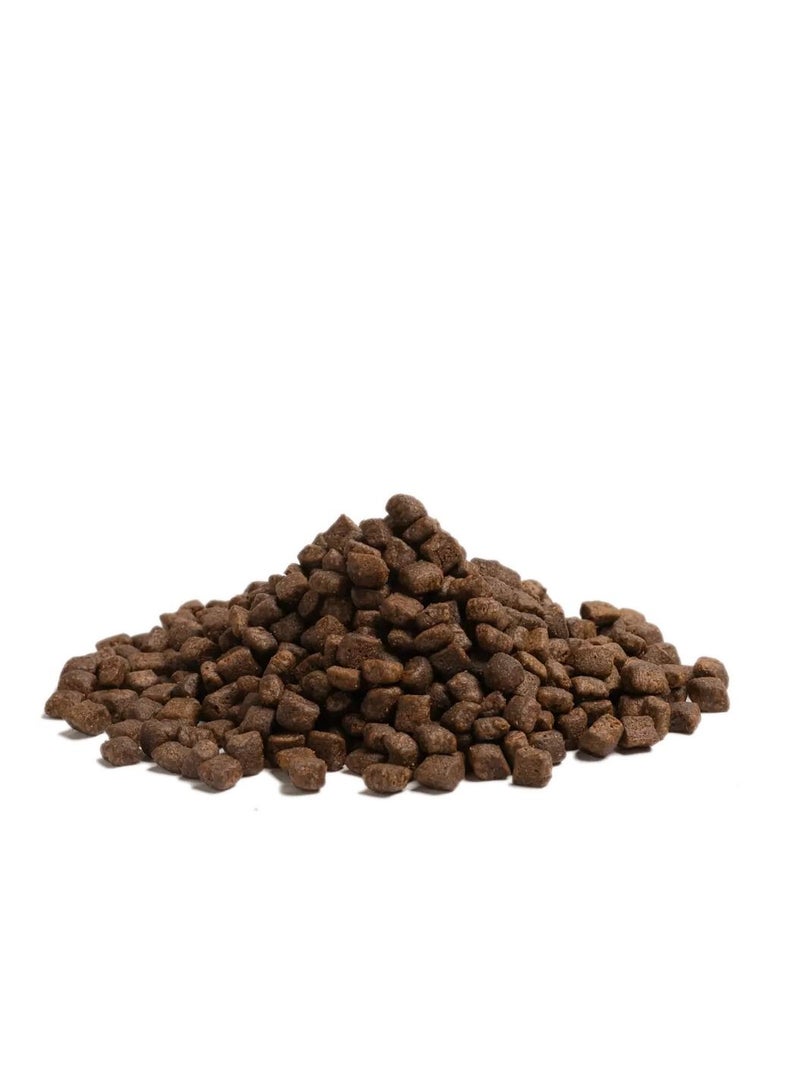 Highland Living Dog Dry Food - local angus beef, Turkey, Scottish Salmon for small breed dogs 2.5KG