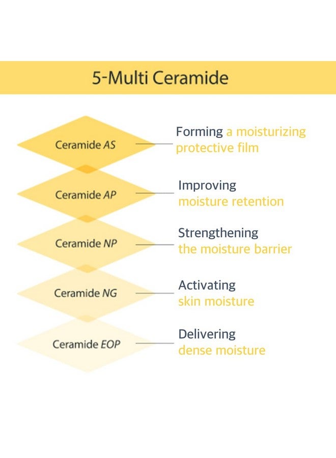 Holika Holika Cerabarrier Moisture Active Skincare Line (Cream In Serum) - Image 5