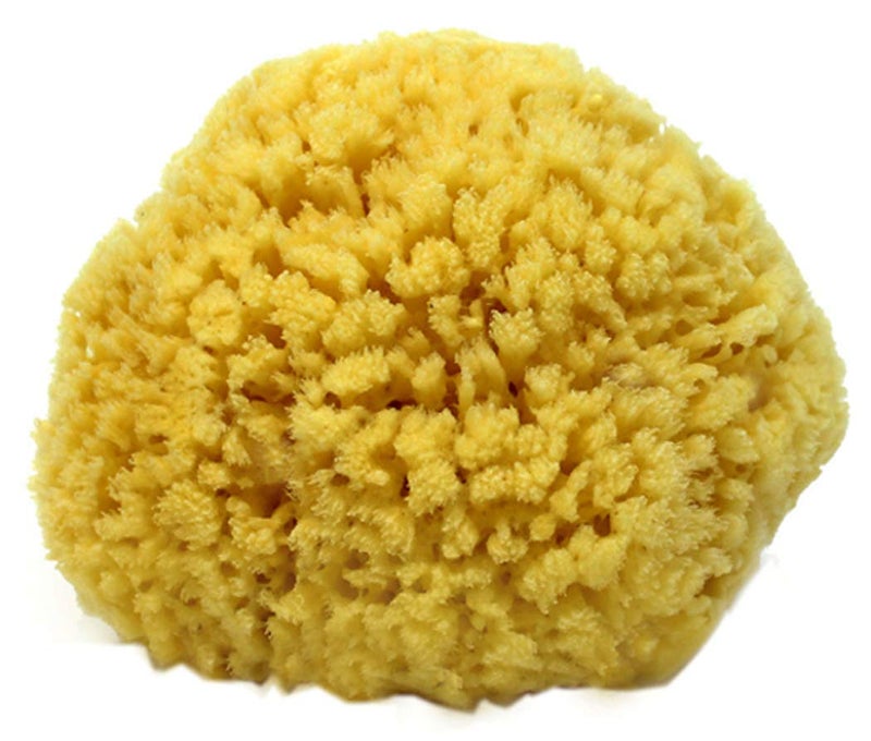 spa destinations Natural Sea Sponge Small 4-5" by Spa DestinationsÂ®Creating The Perfect Bath and Shower Experience Amazing Natural Renewable Resource! - Image 1