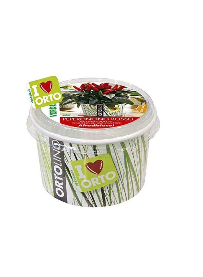 KNP Ortolino Chili Red Seeds Kit - Peperoncino Rosso VX2030