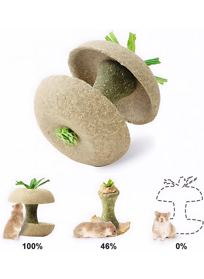 Hamster Chew Toys, 8cm Handmade Fruit Core Shaped Edible Bowl for Chinchilla, Wood Foraging Snack Holder Roller for Rat Gerbil, Natural Dental Health Treats to File Teeth, Cage Decor - Image 3