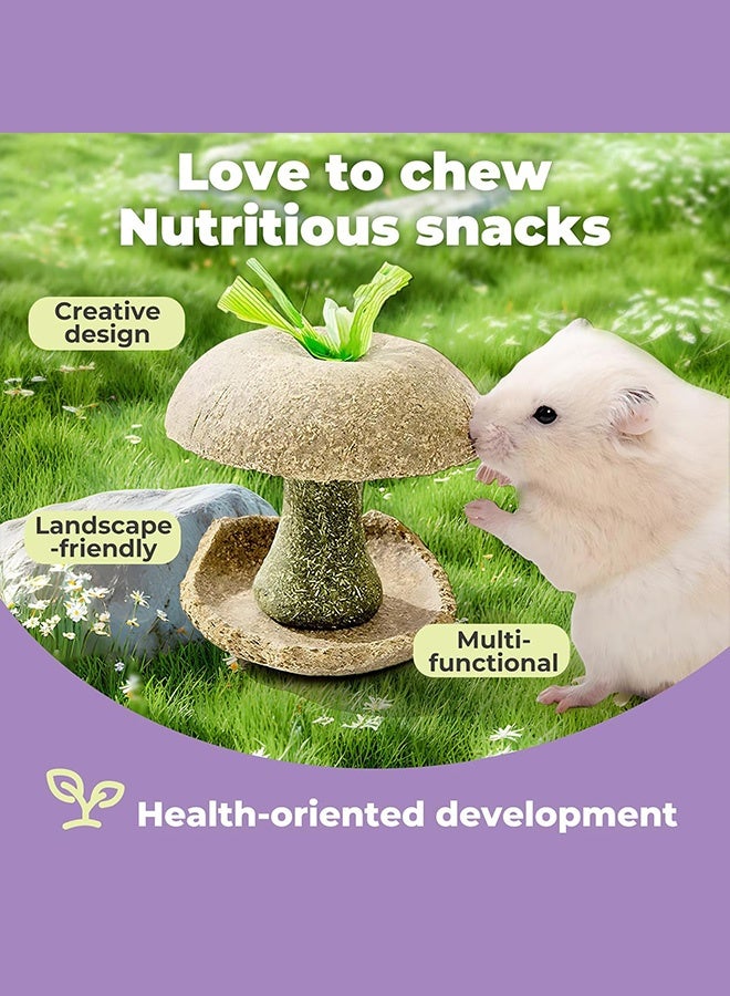 Hamster Chew Toys, 8cm Handmade Fruit Core Shaped Edible Bowl for Chinchilla, Wood Foraging Snack Holder Roller for Rat Gerbil, Natural Dental Health Treats to File Teeth, Cage Decor - Image 5