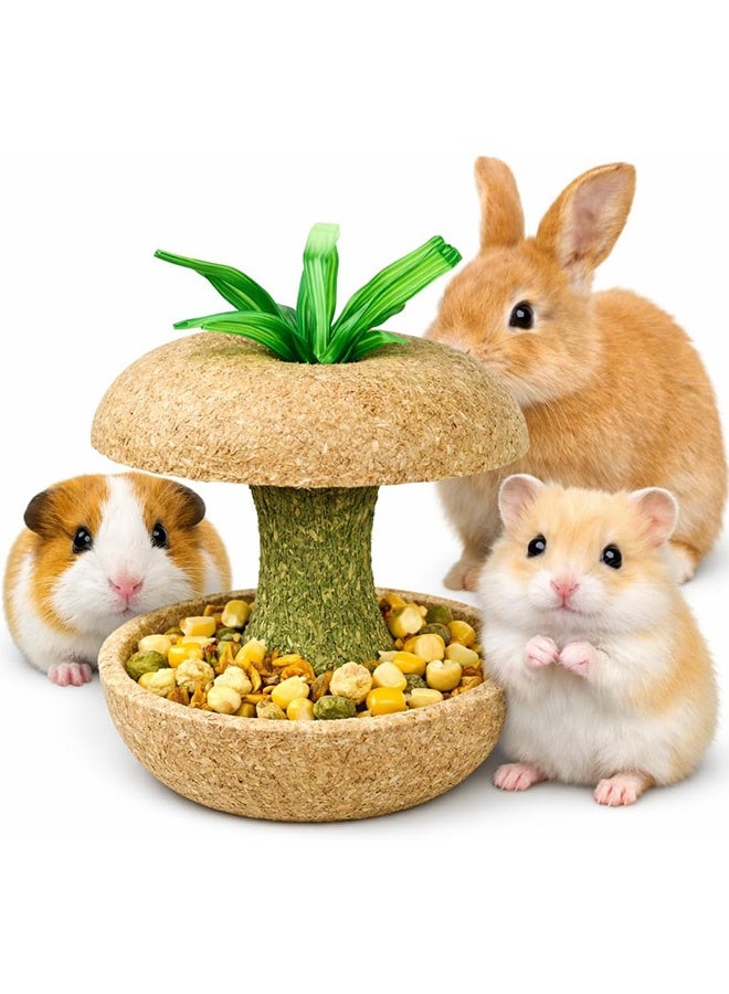 Hamster Chew Toys, 8cm Handmade Fruit Core Shaped Edible Bowl for Chinchilla, Wood Foraging Snack Holder Roller for Rat Gerbil, Natural Dental Health Treats to File Teeth, Cage Decor - Image 2