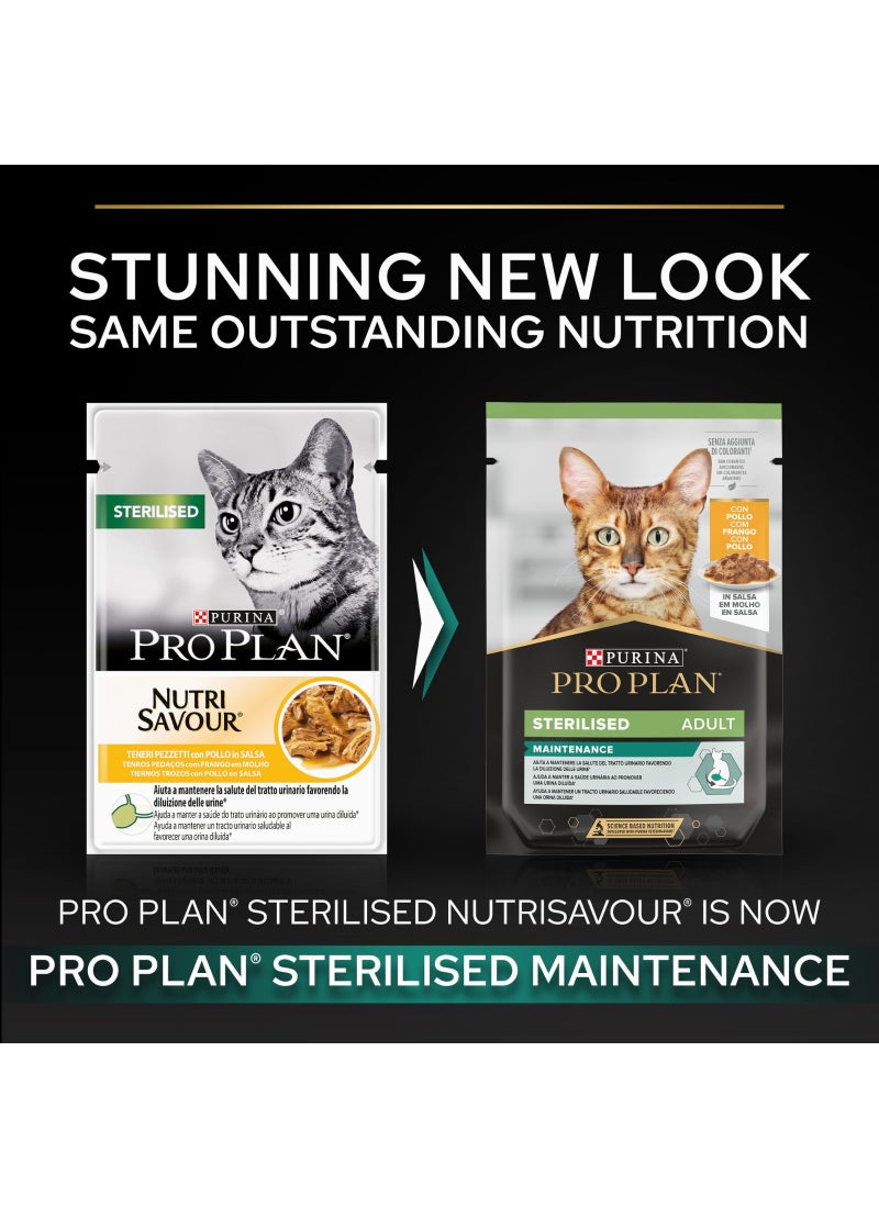 Purina Pro Plan طعام قطط بالغين معقم رطب دجاج في صلصة متعددة العبوات - Image 5