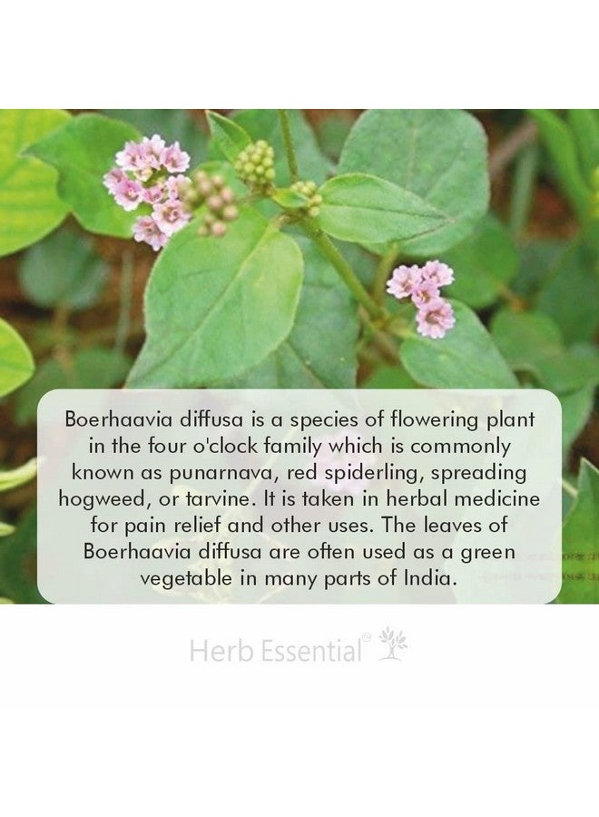 Herb Essential أقراص هيرب الأساسية بونارنافا، 500 ملغ، 60 قرص - Image 3