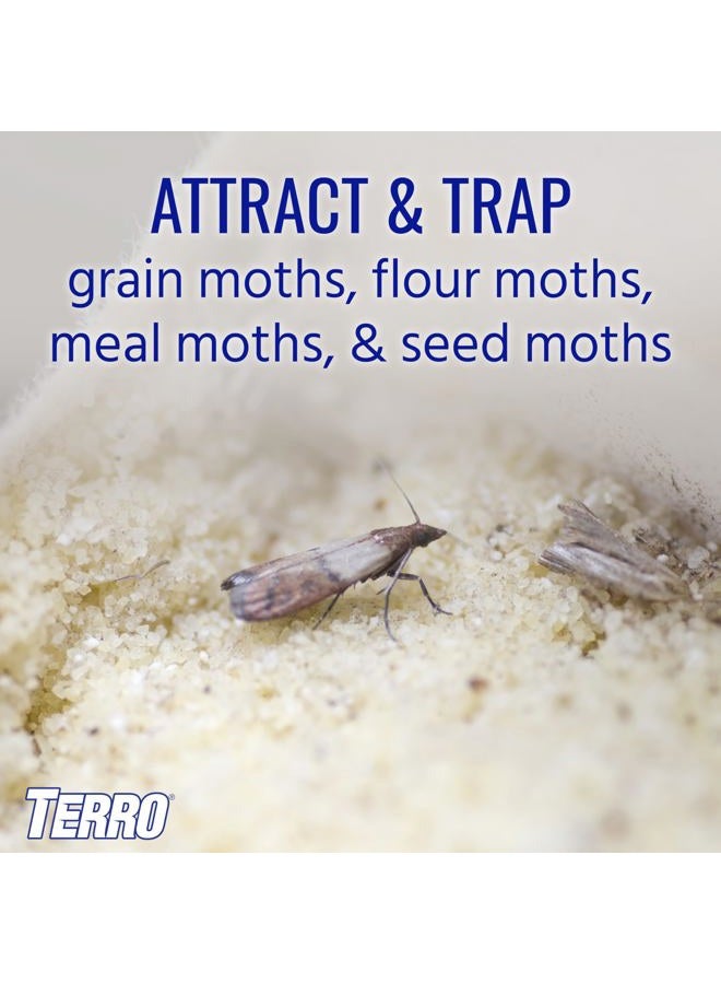 Terro فخاخ العثة من تيررو T2900 (عبوة من 2) - تصيد عث الحبوب، عث الدقيق، عث الوجبات، وعث البذور، (قد يختلف التغليف)  - Image 2