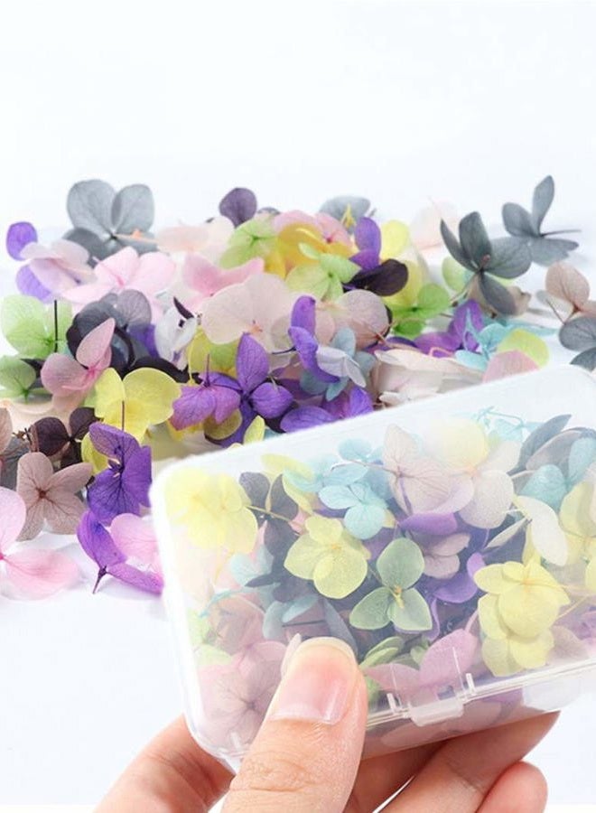 XICHEN Hydrangea Petals Dry Flowers Nail Art Stickers, 100 Piece - Image 4