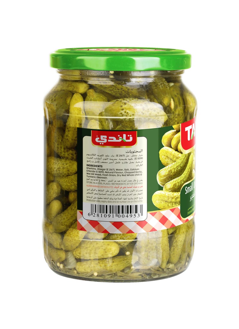 تاندي مخلل خيار صغير - Image 2