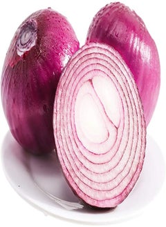 Purple-red Onion Seeds 300pcs