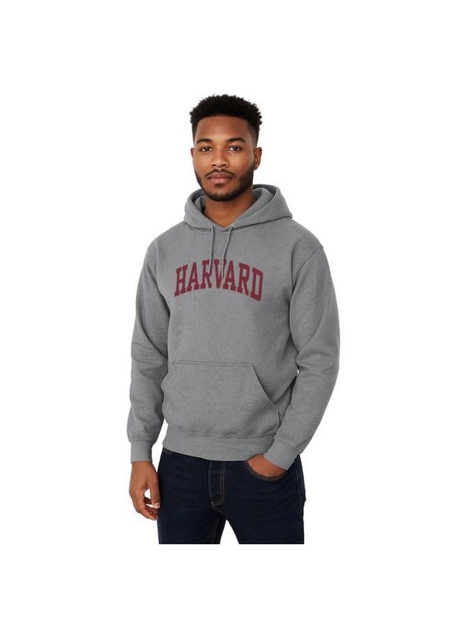 Ivysport Hooded Sweatshirt, Unisex, Essential Logo, Premium Grey Heavyweight Cotton - Image 2