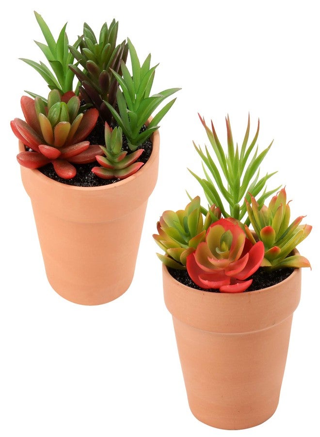 Briful Small Succulents Artificial 2 Pcs Fake Succulent Plants Faux Succulents in Pots Assorted Succulent Arrangements for Home Office Bathroom Room Shelf Rustic Farmhouse Windowsill Decor - Image 1