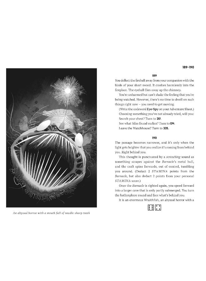 FIGHTING FANTASY #15: CRYSTAL OF STORMS - Image 3