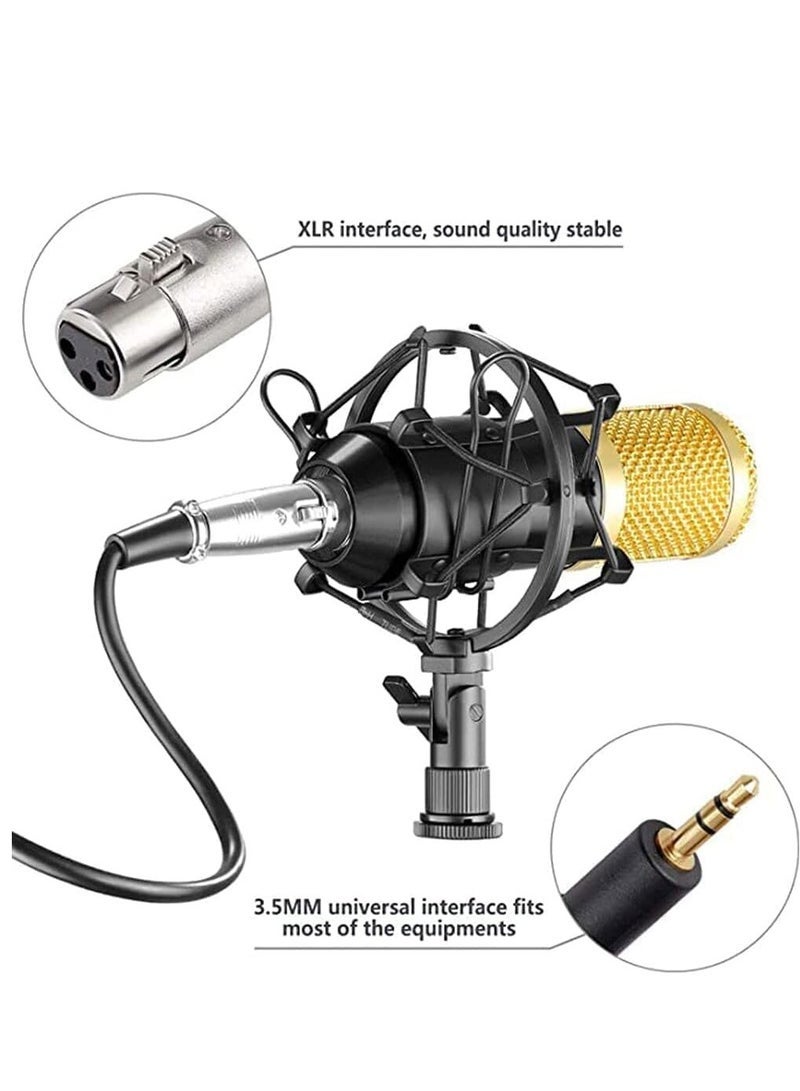 Professional BM800 Condenser Microphone Kit for PC Microphone Studio For Computer Karaoke Sound Card Recording Microphone, Auxiliary - Image 2