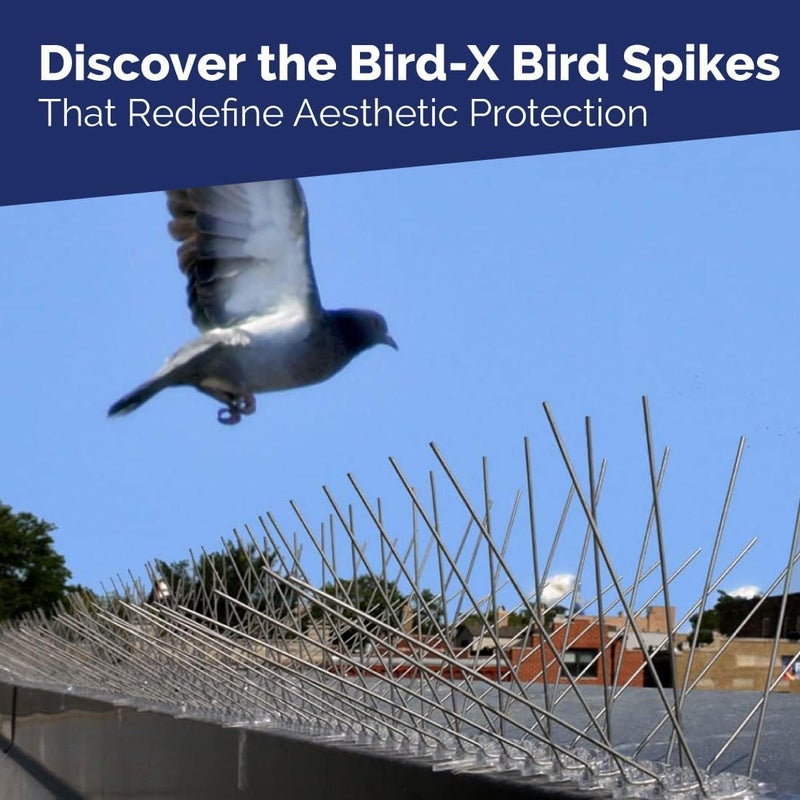 Bird-X Stainless Steel Bird Spikes - Image 3