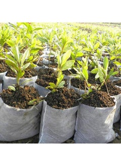 Generic 300Pcs Degradable Non-Woven Plant Nursery Bags Plant Seeding Bags for Home or Outdoor Garden Supply 16x20cm  - Image 5