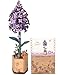 Wowood 3D Flower Wooden Puzzles for AdultsLilac DIY Wooden Flowers Model Kit Building Set Crafts for Adults to Build Botanical CollectionIdeal Creative Gift IdeasHousewarming 154PCS - Image 2