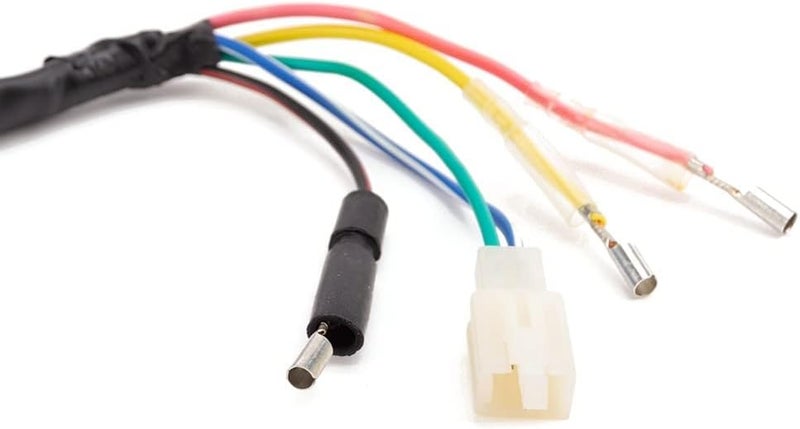 Wivplex Motorcycle Generator Stator Coil for XR250R 1996-2004 - Image 2