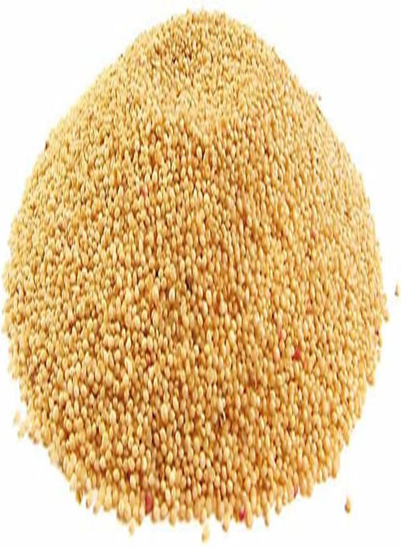 GGOOT 10 UK Red Amaranthus Seeds for Planting Growing Large Leaf Amaranth for Dishes - Image 2